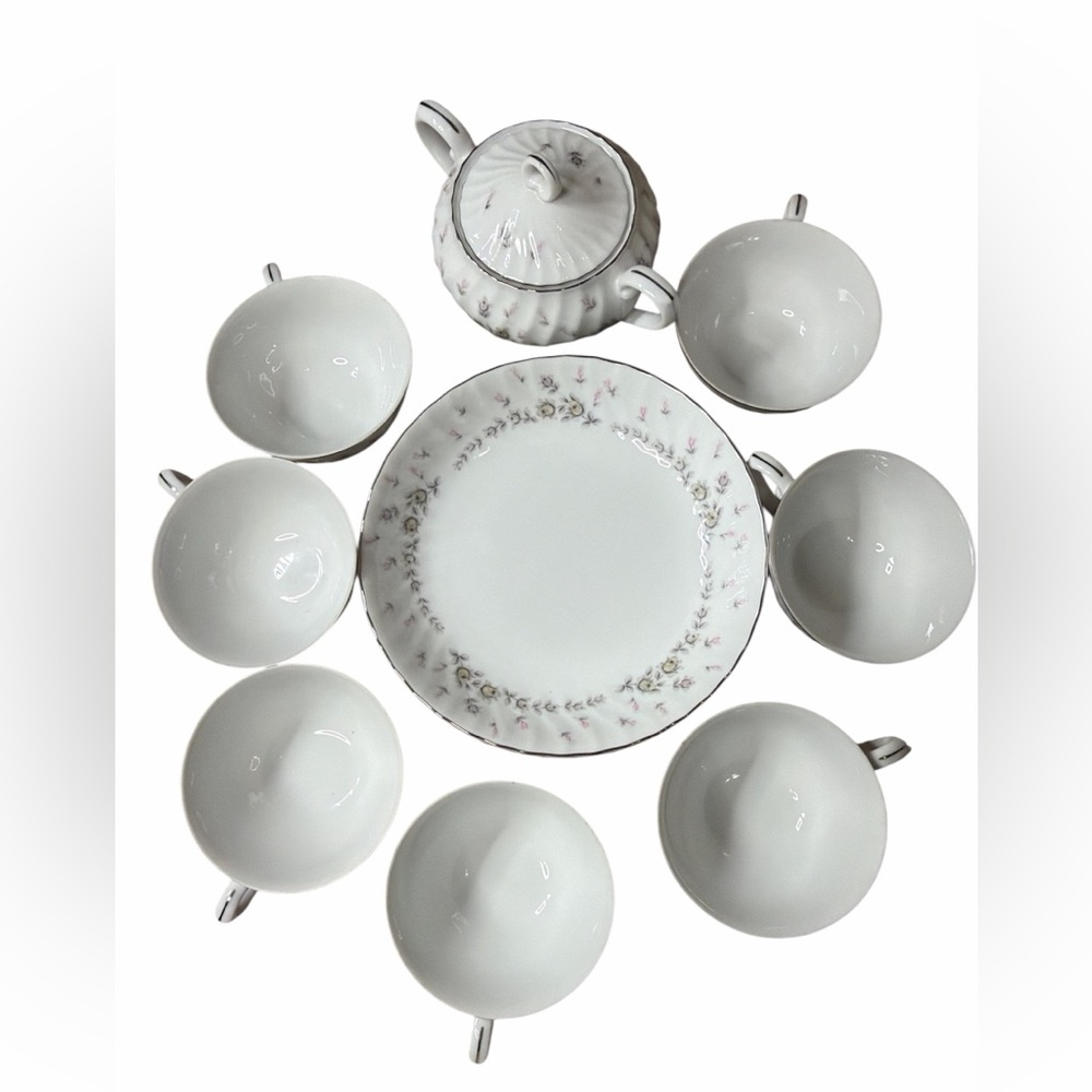 Style House Fine China PICARDY SET